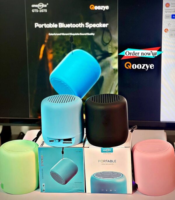 GTS-1675 Portable Mini Speaker